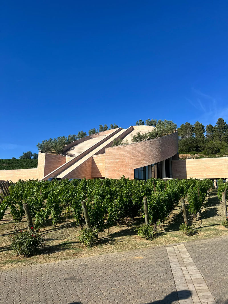CBRE’s summer incentive in Tuscany with a carton boat competition and a visit to a local winery - 5