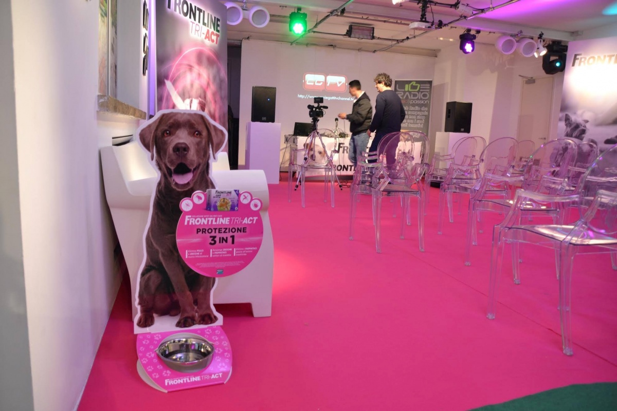 Smart Eventi: promotional event for Frontline - 14