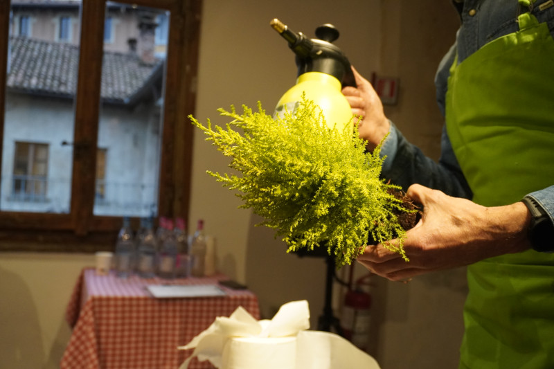 AKAMAS socially-conscious team building with Kokedama workshop - 14