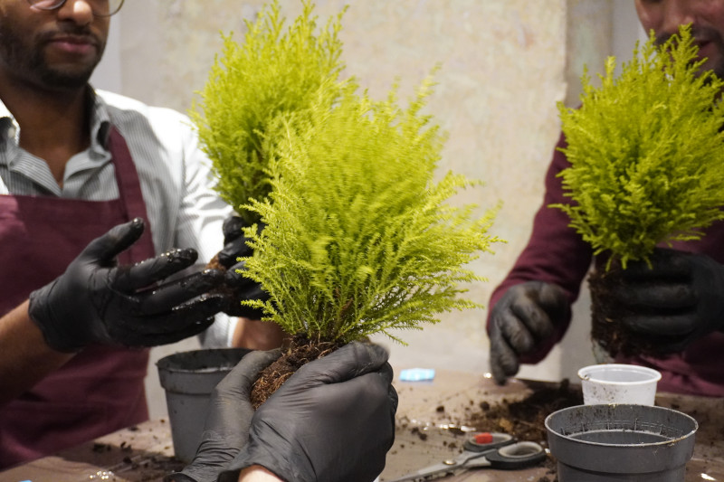 AKAMAS socially-conscious team building with Kokedama workshop - 8