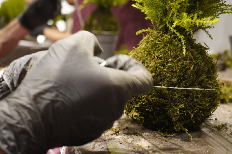 AKAMAS socially-conscious team building with Kokedama workshop - 5