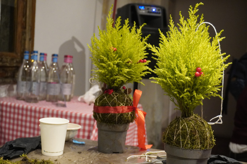 AKAMAS socially-conscious team building with Kokedama workshop - 3