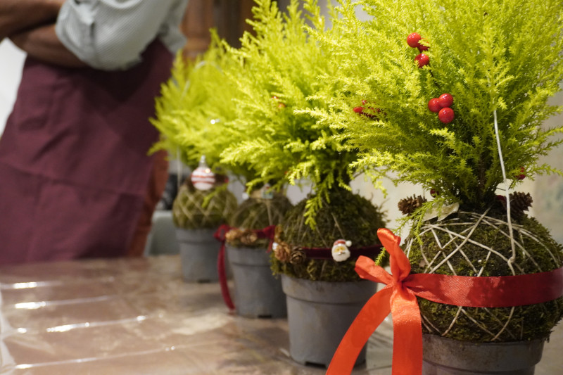 AKAMAS socially-conscious team building with Kokedama workshop - 2