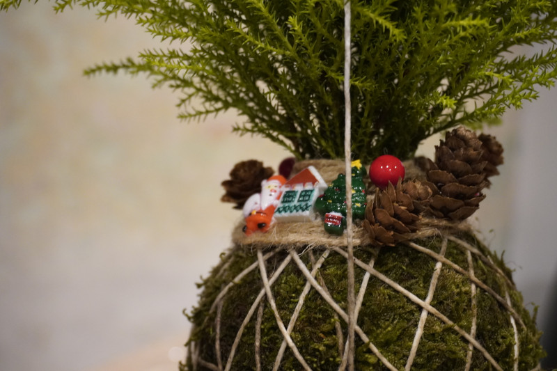 AKAMAS socially-conscious team building with Kokedama workshop - 6