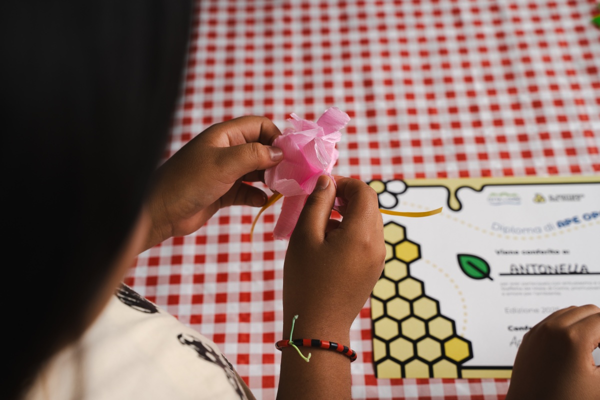 ‘The Honey Trail’ in Como: a project that celebrates local identity and inspires through education - 0