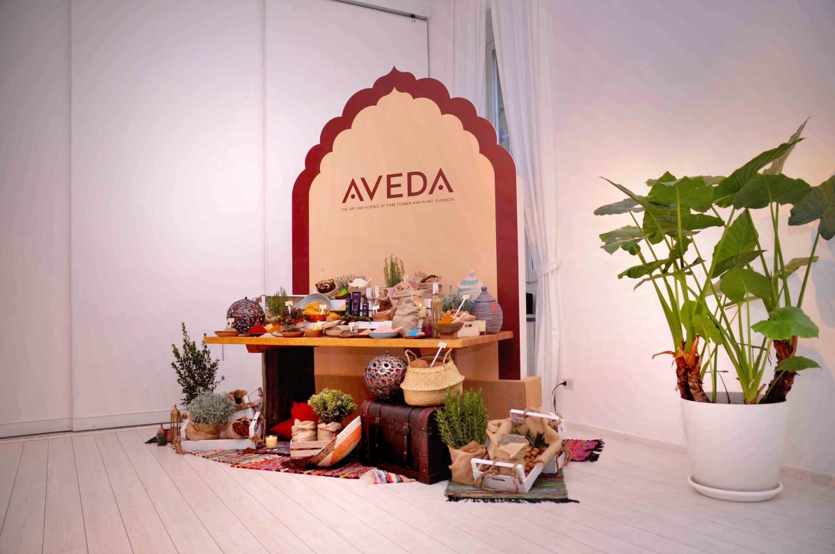 Press day for new line against hair loss by Aveda - 3