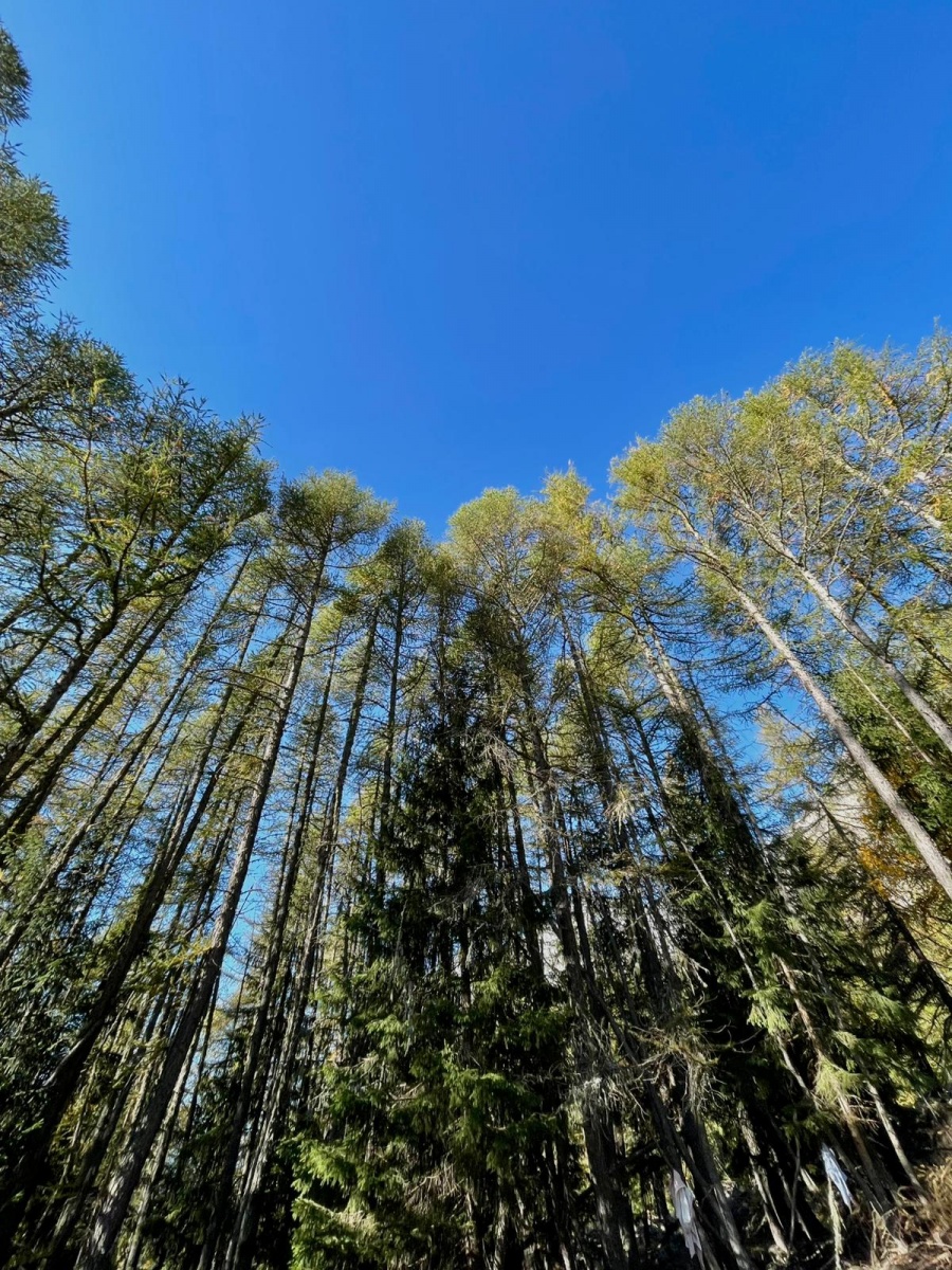 Corporate incentive trip to Courmayeur with training and team building - 5