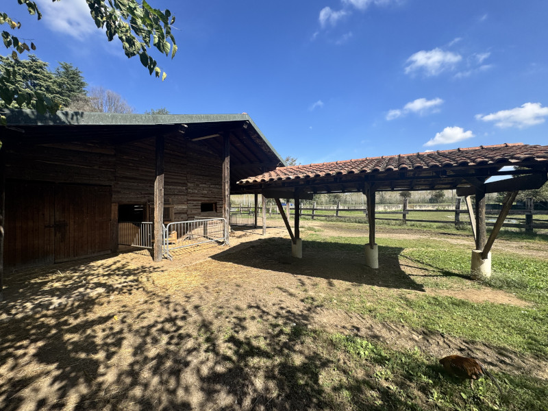 Customised quiz game for company event in the countryside - 3