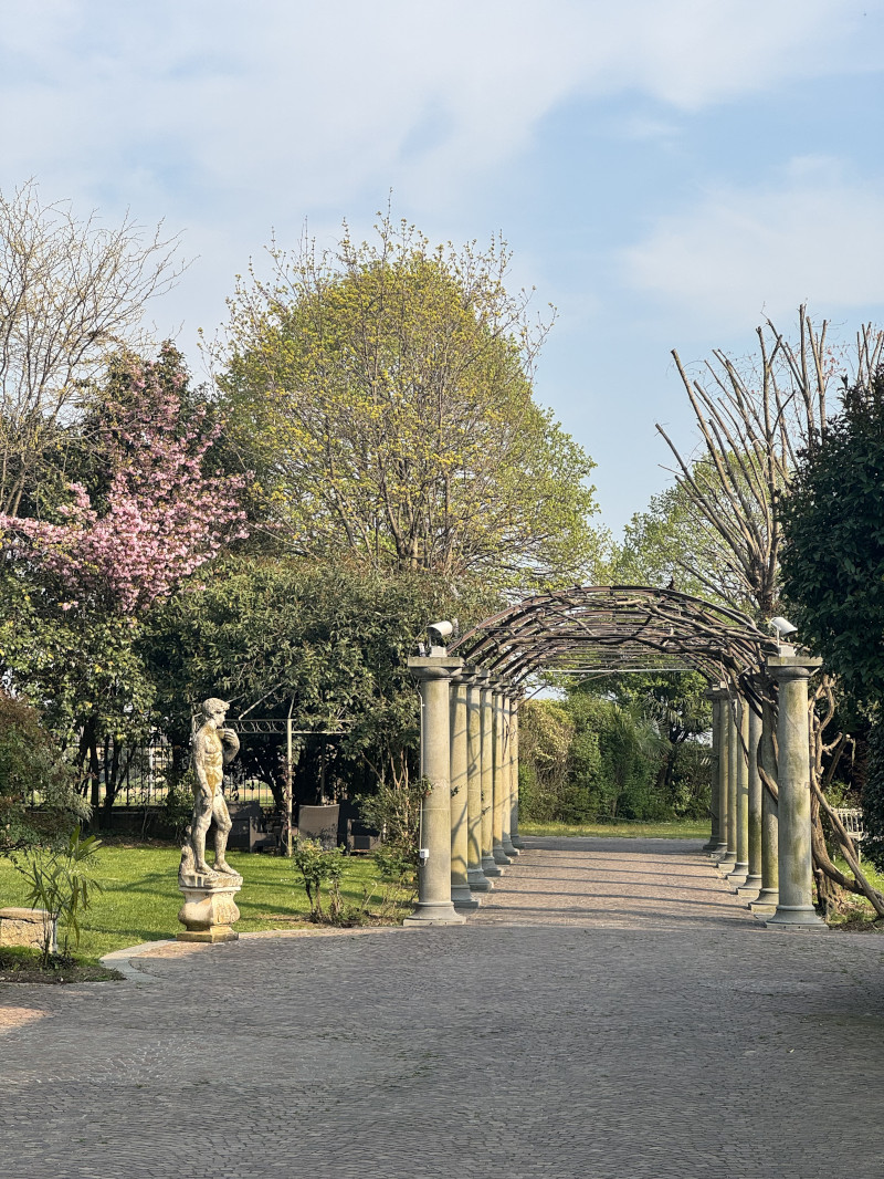 The rhythm of success: drum circle team building for ABB - 5