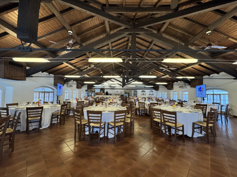 Customised quiz game for company event in the countryside - 9