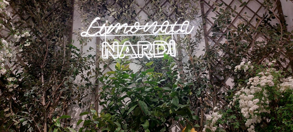 Nardi's triumph at the Milan Design Week - 0